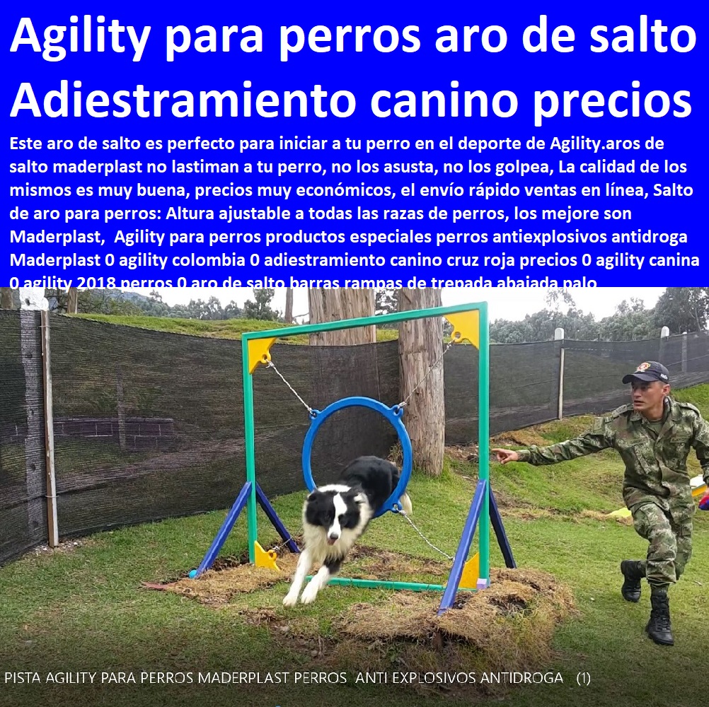 Circuito canino agility Parques para Perros Pista de Agility aros de salto Casas Para Perros Y Mascotas, Agility De Perros, Pistas De Adiestramiento, Caninos Para Perros, Equipo De Agility Para Perros, Cunas Y Parideras Para Perros, Parques Para Perros, Corrales Para Perros, Jaulas cuidado de perros, Maderplast 0 Diseño Fabricación y Venta de Agility 0 Circuitos y Parques para Perros 0 Imágenes de Pista de Agility para Perros 0 Fabricantes aros de salto Circuito canino agility Parques para Perros Pista de Agility aros de salto Maderplast 0 Diseño Fabricación y Venta de Agility 0 Circuitos y Parques para Perros 0 Imágenes de Pista de Agility para Perros 0 Fabricantes aros de salto